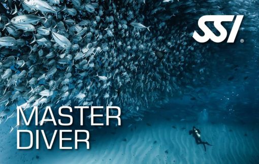 master-diver-ssi-specialty-deal