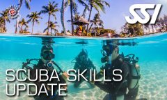scuba skills update