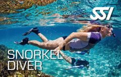 snorkel_diver_small